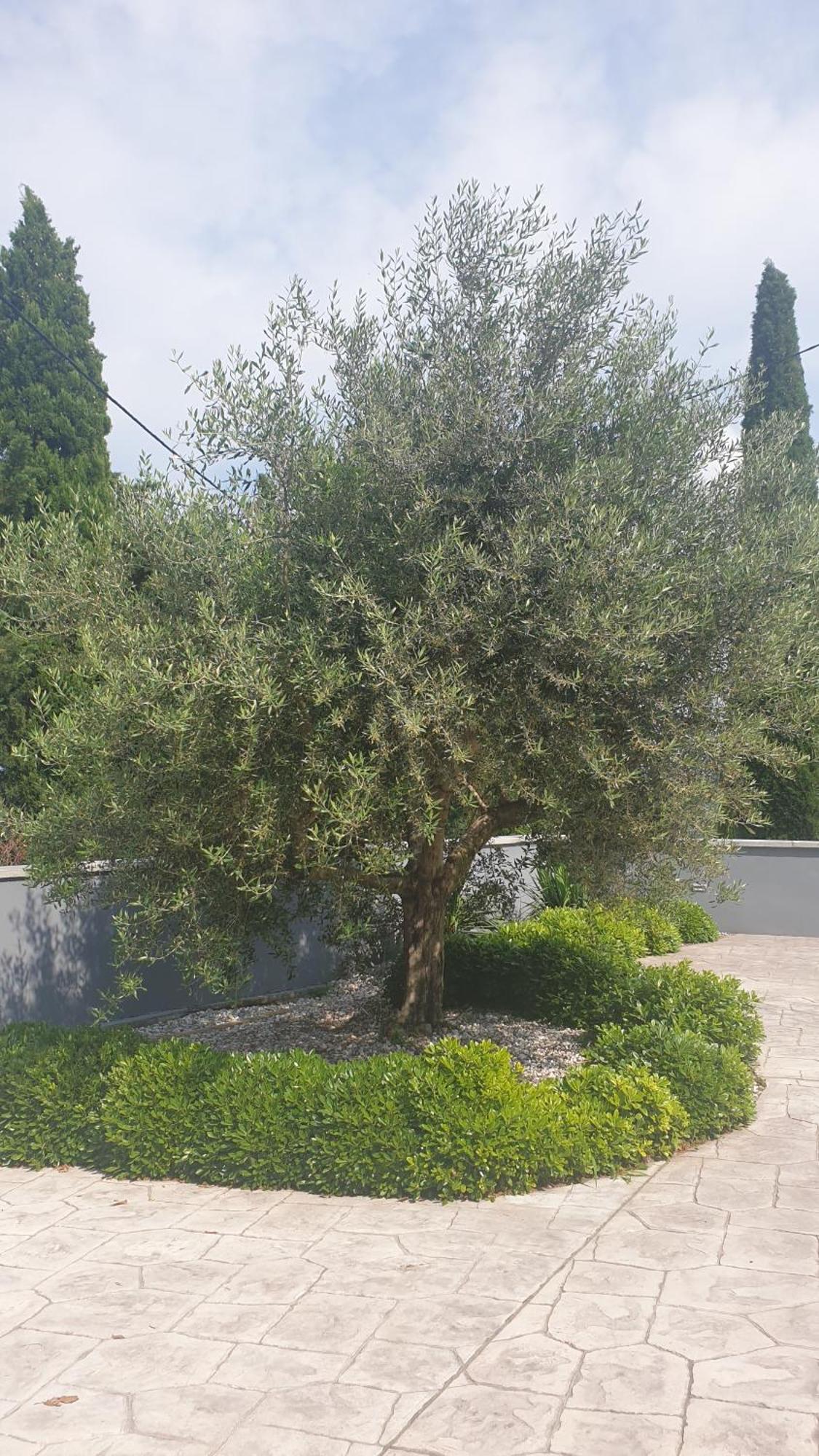 Apartma Pata, Koper - Cezarji Exterior photo
